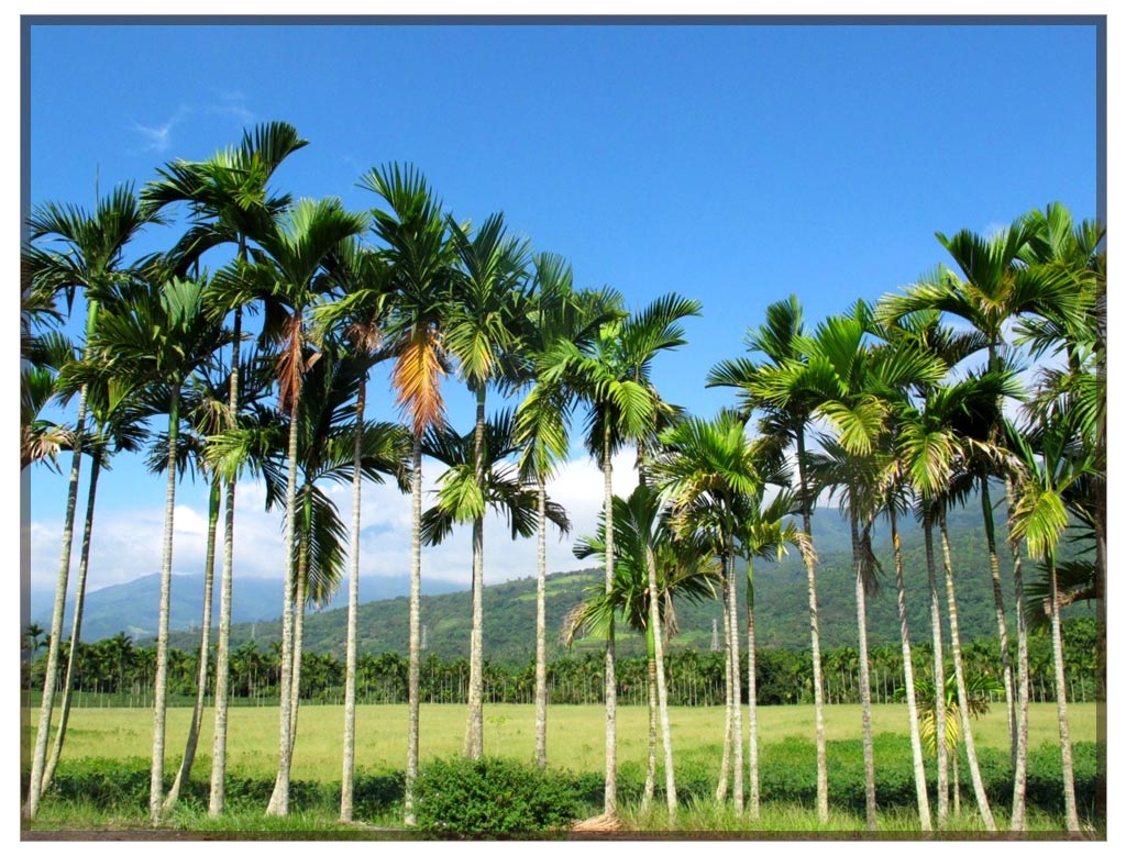 About Sampada Organic